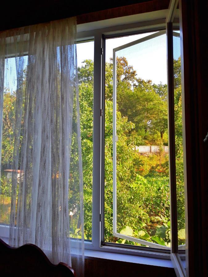 Vaso'S Guesthouse Katskhi Экстерьер фото