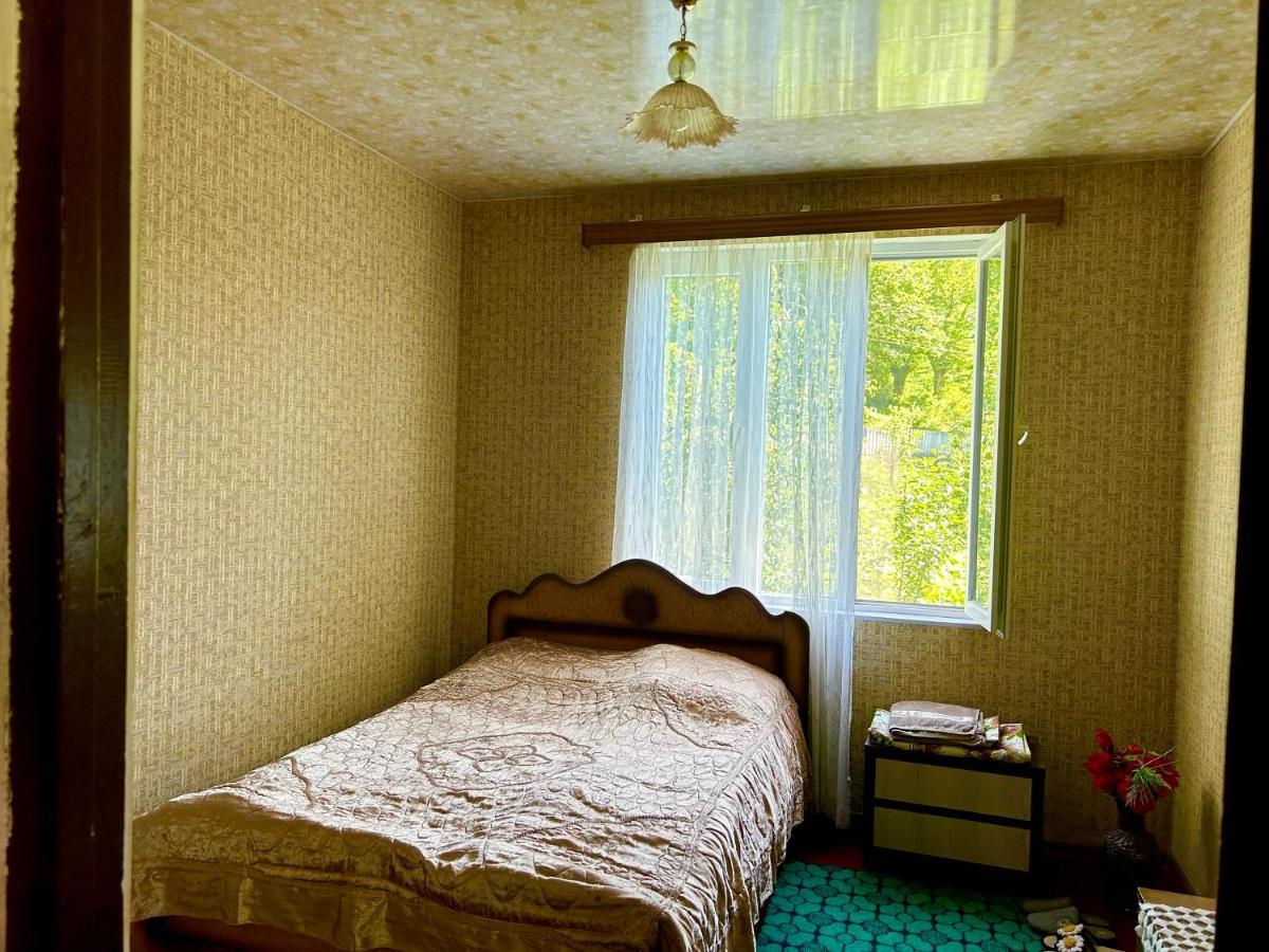Vaso'S Guesthouse Katskhi Экстерьер фото